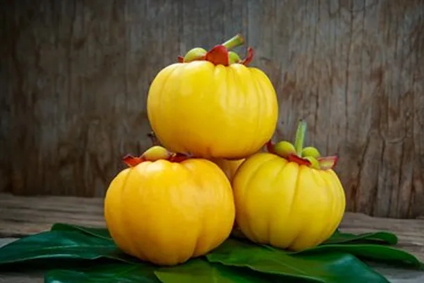 Does garcinia cambogia extract work to loss weight?